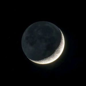 重生士兵的雌性征服日志
